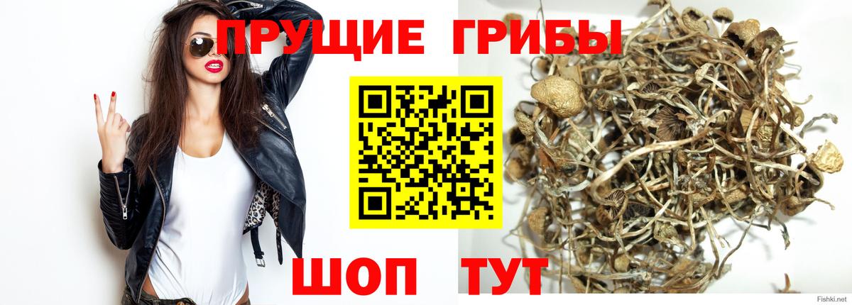Ярцево  Галлюциногенные грибы мицелий  Псилоцибиновые грибы Psilocybine cubensis  Вход с VPN 